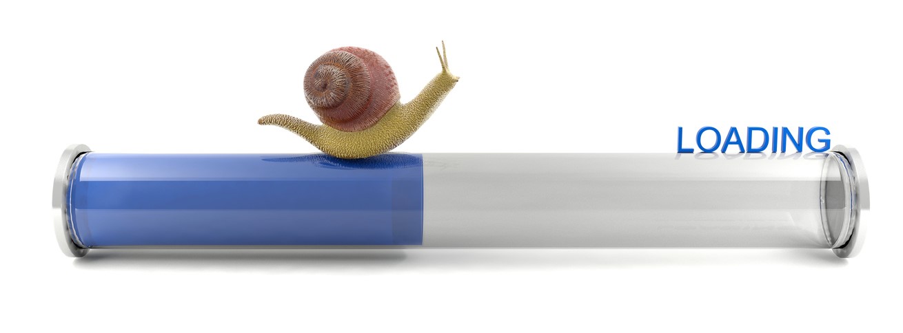 slow loading speeds snail